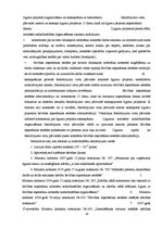 Referāts 'Komerciālā darbība ieslodzījumu vietās', 20.