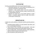 Referāts 'Komerciālā darbība ieslodzījumu vietās', 29.