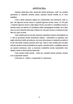 Referāts 'Komerciālā darbība ieslodzījumu vietās', 31.