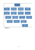 Referāts 'Komerciālā darbība ieslodzījumu vietās', 34.