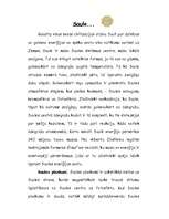 Referāts 'Saules sistēma', 5.