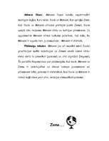 Referāts 'Saules sistēma', 8.