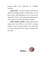 Referāts 'Saules sistēma', 10.