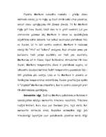 Referāts 'Saules sistēma', 11.