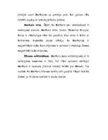 Referāts 'Saules sistēma', 12.