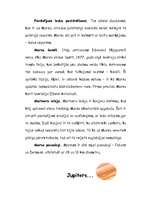 Referāts 'Saules sistēma', 16.