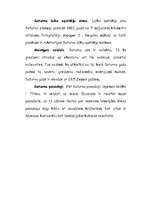 Referāts 'Saules sistēma', 20.