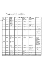 Referāts 'Tūrisma maršruts', 7.