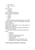 Konspekts 'Kredīti un to uzskaite', 3.