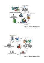 Referāts 'Sadzīves atkritumu problēma Latvijā', 6.