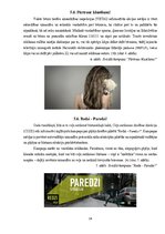 Referāts 'Sociālo reklāmu ietekme uz jauniešiem', 14.