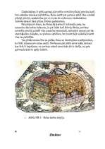 Referāts 'Seno civilizāciju sasniegumi', 11.