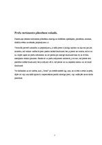 Prakses atskaite 'Prakse uzņēmumā SIA "Cento"', 7.