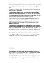 Prakses atskaite 'Prakse uzņēmumā SIA "Cento"', 19.