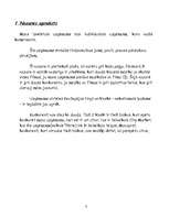 Biznesa plāns 'Biznesa plāns IU sākšanai datoru jomā', 3.