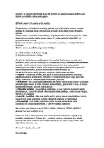 Konspekts 'Tieslietas', 2.