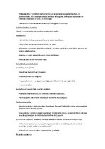 Konspekts 'Tieslietas', 5.