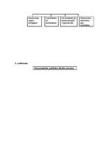 Konspekts 'Starptautiskās publiskās tiesības', 4.