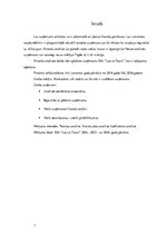 Referāts 'Uzņēmuma "Latvia Tours" finanšu analīze', 3.