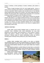 Referāts 'Izraēla', 24.