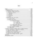 Referāts 'Uzņēmuma "X" mārketinga vides un stratēģijas analīze un darbības plānošana', 2.