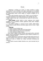 Referāts 'Uzņēmuma "X" mārketinga vides un stratēģijas analīze un darbības plānošana', 3.