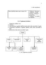 Referāts 'Uzņēmuma "X" mārketinga vides un stratēģijas analīze un darbības plānošana', 5.