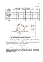 Referāts 'Uzņēmuma "X" mārketinga vides un stratēģijas analīze un darbības plānošana', 10.