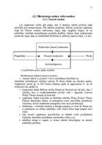 Referāts 'Uzņēmuma "X" mārketinga vides un stratēģijas analīze un darbības plānošana', 11.