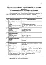 Referāts 'Uzņēmuma "X" mārketinga vides un stratēģijas analīze un darbības plānošana', 17.