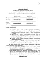 Referāts 'Uzņēmuma "X" mārketinga vides un stratēģijas analīze un darbības plānošana', 21.