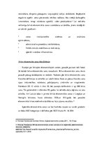 Konspekts 'Brīvās ekonomiskās zonas', 3.