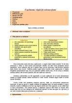 Biznesa plāns 'Apavu ražošanas uzņēmuma dibināšana', 1.