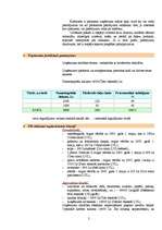 Biznesa plāns 'Apavu ražošanas uzņēmuma dibināšana', 2.