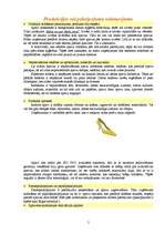 Biznesa plāns 'Apavu ražošanas uzņēmuma dibināšana', 5.