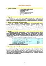 Biznesa plāns 'Apavu ražošanas uzņēmuma dibināšana', 11.