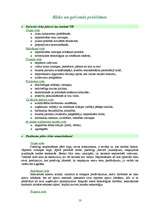 Biznesa plāns 'Apavu ražošanas uzņēmuma dibināšana', 13.