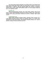 Biznesa plāns 'Apavu ražošanas uzņēmuma dibināšana', 14.