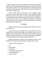 Referāts 'Finanšu krīzes agrie brīdinājuma signāli', 13.