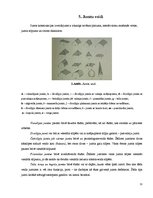 Referāts 'Jumtu veidi', 10.