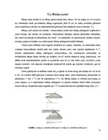 Referāts 'Jumtu veidi', 12.