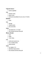 Referāts 'Jumtu veidi', 20.