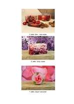 Biznesa plāns 'SIA "Stendera ziepju fabrika" biznesa plāns', 31.