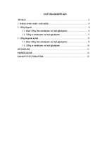 Referāts 'Ceļu satiksmes negadījumi Jelgavā un Jelgavas rajonā', 1.