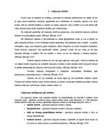 Referāts 'Ceļojuma maršruta izstrāde uz Aļasku', 4.