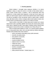 Referāts 'Ceļojuma maršruta izstrāde uz Aļasku', 6.