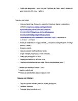 Referāts 'Ceļojuma maršruta izstrāde uz Aļasku', 15.