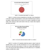 Referāts 'Ceļojuma maršruta izstrāde uz Aļasku', 19.