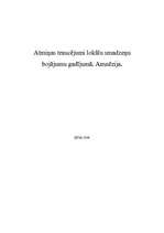 Referāts 'Atmiņas traucējumi lokālu smadzeņu bojājumu gadījumā', 1.