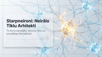 Prezentācija 'Starpneironi: neirālo tīklu arhitekti', 1.